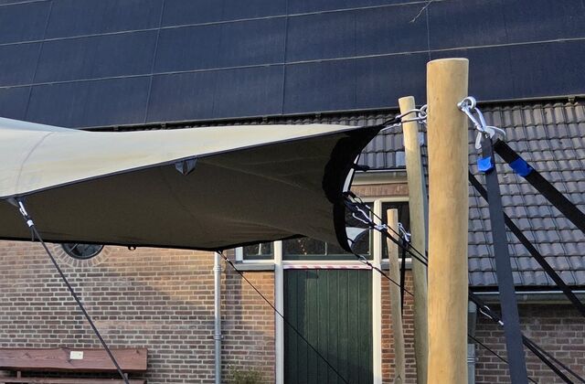 Robinia paal met spanband en karabijnhaak
